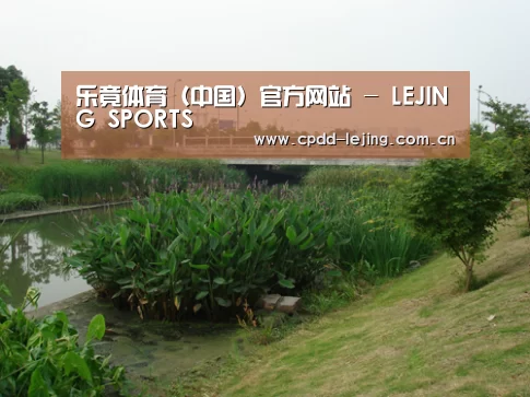 案例展示四(图1)