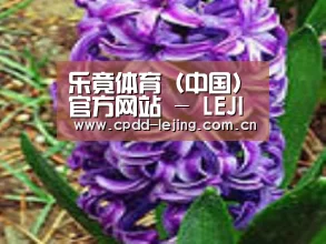 产品名称八