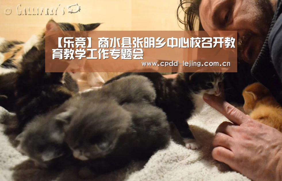 乐竞运动
