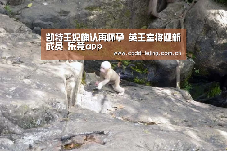 凯特王妃确认再怀孕 英王室将迎新成员_乐竞app(图4) 乐竞首页