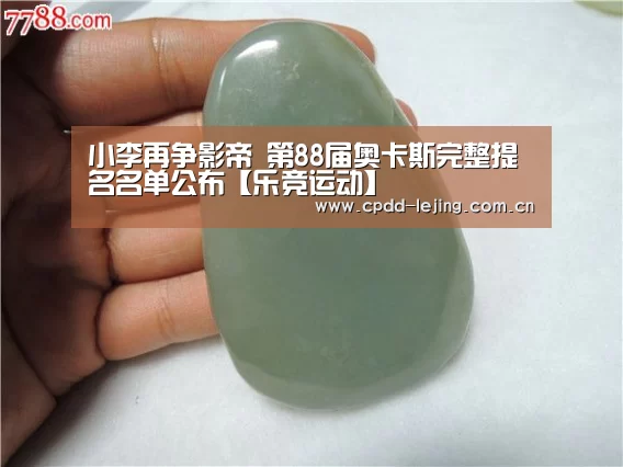 小李再争影帝 第88届奥卡斯完整提名名单公布【乐竞运动】(图2) 乐竞运动