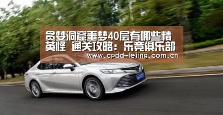 贪婪洞窟噩梦40层有哪些精英怪 通关攻略：乐竞俱乐部
