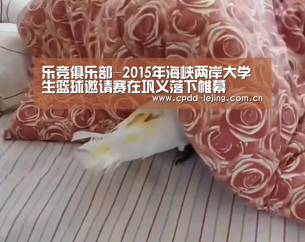 乐竞运动