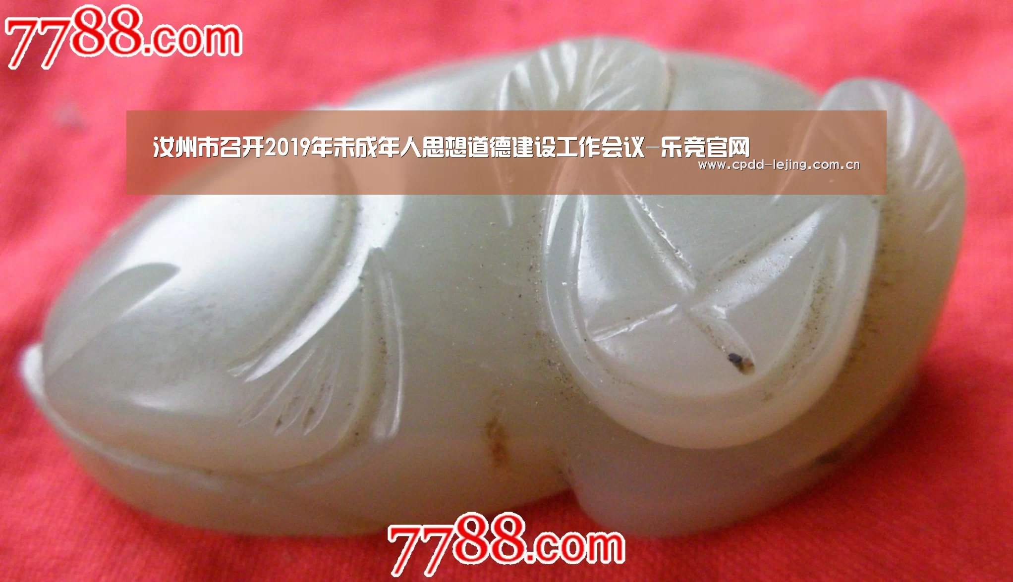 汝州市召开2019年未成年人思想道德建设工作会议-乐竞官网(图1) 乐竞