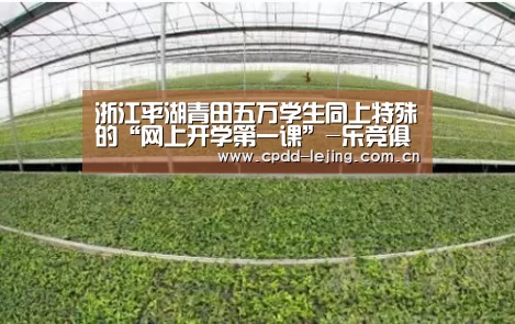 乐竞首页