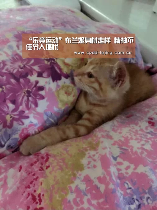 乐竞运动
